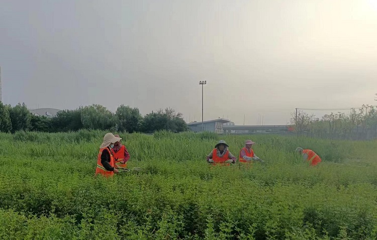 微信圖片_20240614153914.jpg 微信圖片_20240614153914.jpg